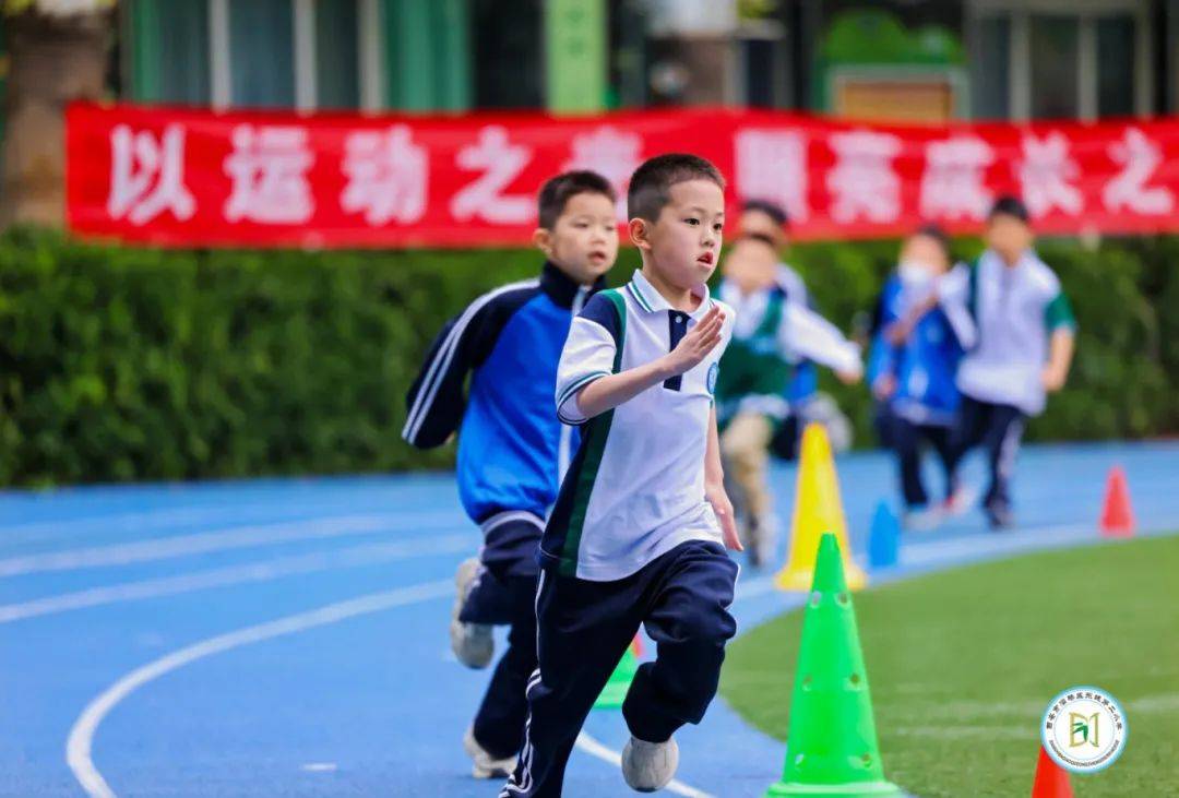 关于田径接力阵容齐整，选手配合默契的信息